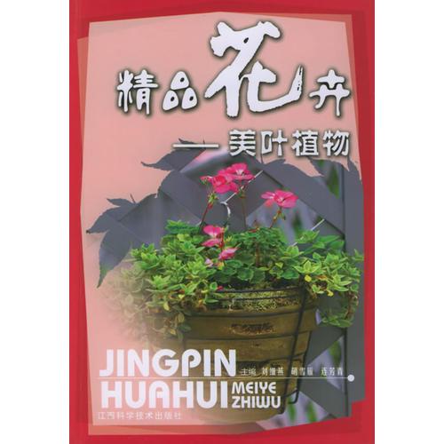 精品花卉——美叶植物