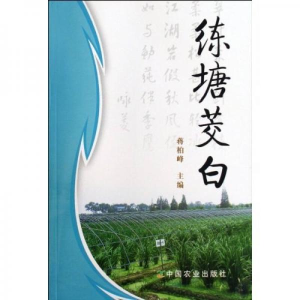 練塘茭白