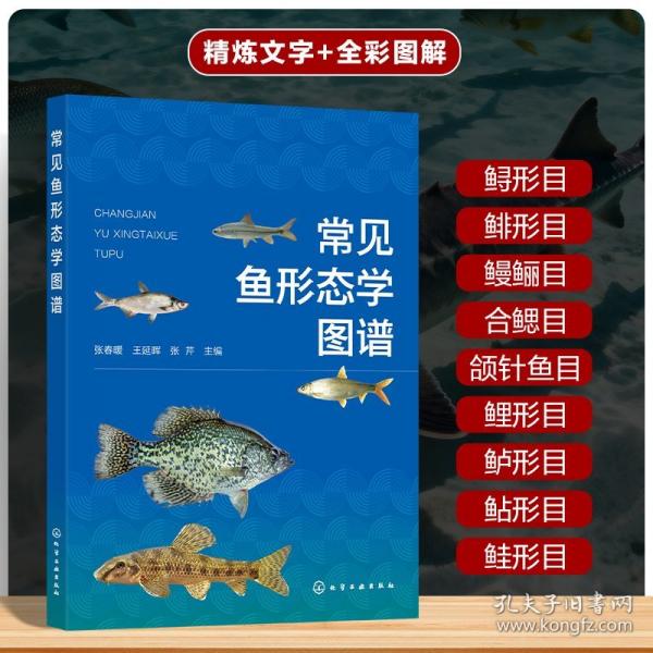 常见鱼形态学图谱