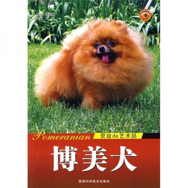 博美犬）灵动de艺术品