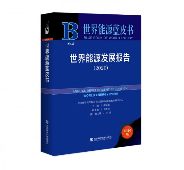 世界能源藍(lán)皮書：世界能源發(fā)展報(bào)告（2020）