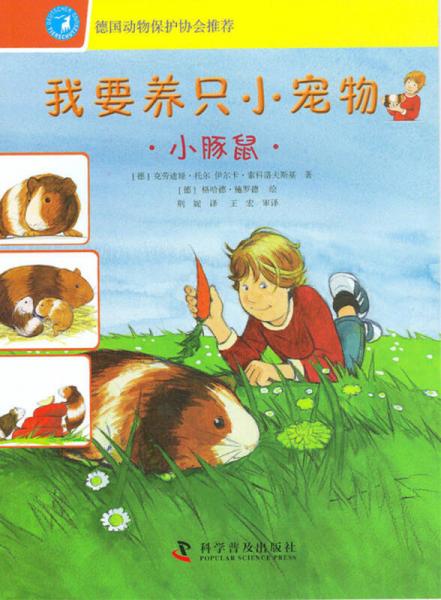 我要養(yǎng)只小寵物：小豚鼠