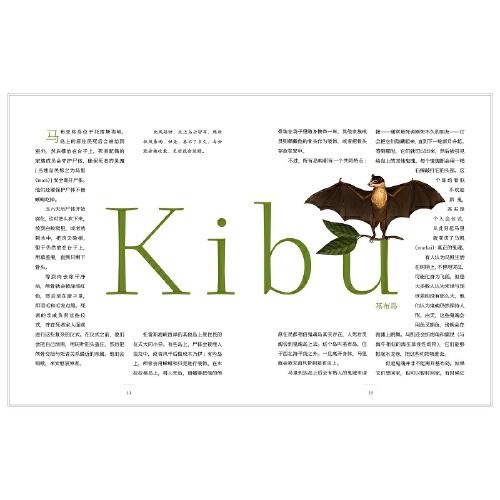 岛屿传说：不存在的岛屿及其存在的传说