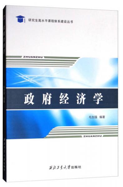 研究生高水平课程体系建设丛书：政府经济学