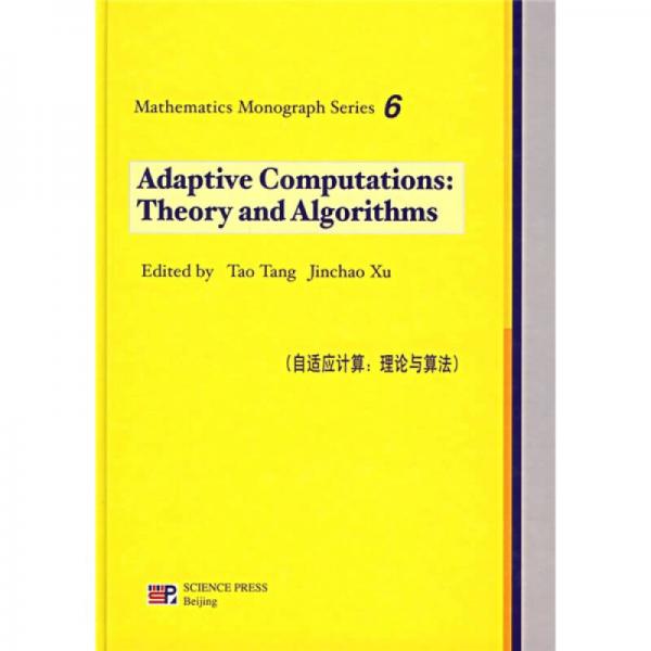 自适应计算：理论与算法（6）（英文版）