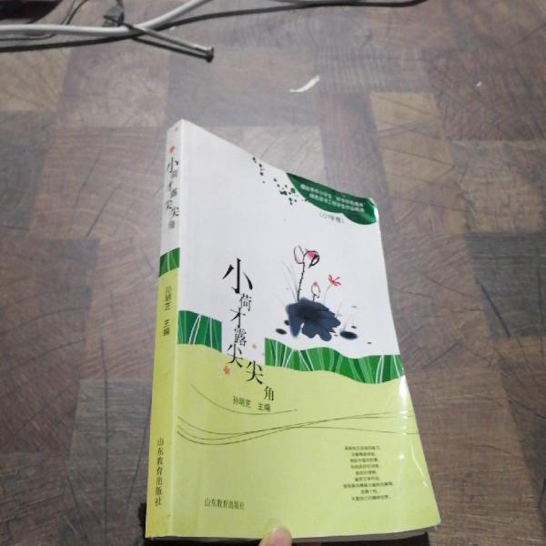 小荷才露尖尖角