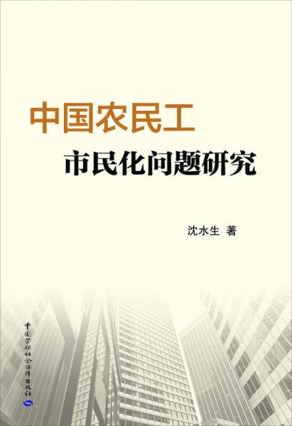 中國農(nóng)民工市民化問題研究