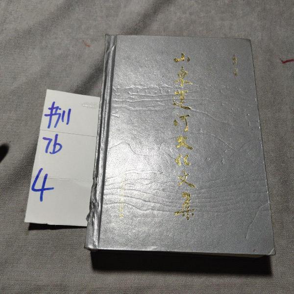 運(yùn)河文化(山東)文集