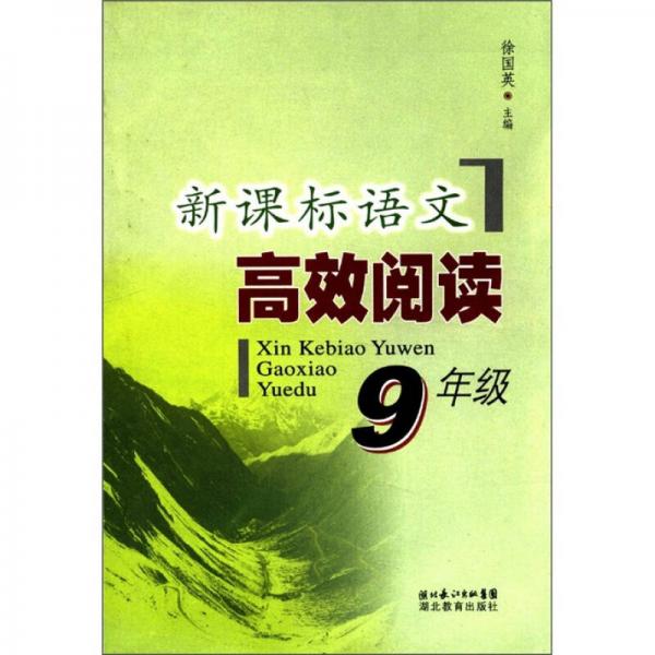 新课标语文高效阅读：9年级