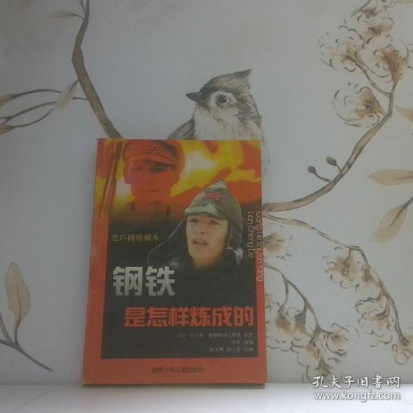 鋼鐵是怎樣煉成的:連環(huán)畫珍藏本