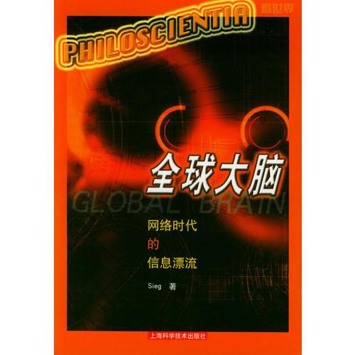 全球大腦：網(wǎng)絡(luò)時(shí)代的信息漂流