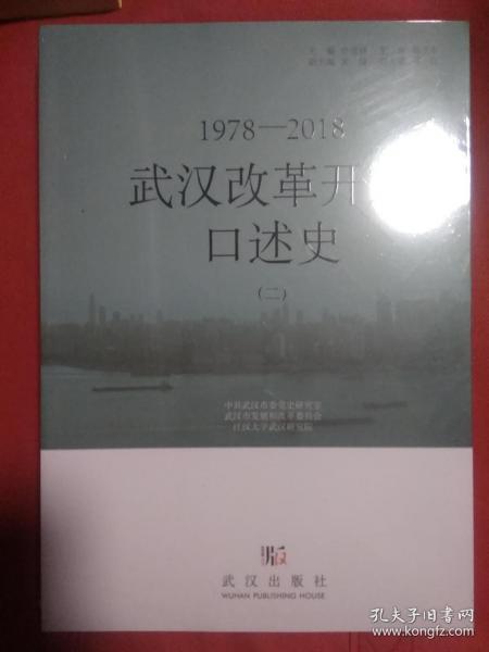 武汉改革开放口述史（二）