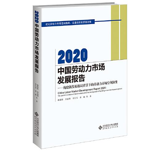 2020中国劳动力市场发展报告：构建新发展格局背景下的劳动力市场空间演变