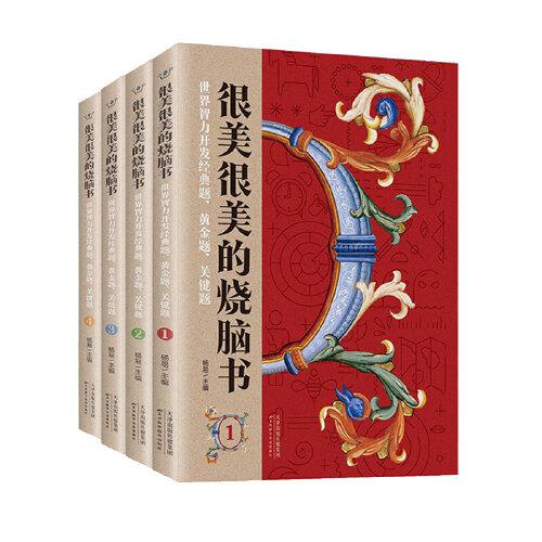 很美很美的燒腦書(世界智力開發(fā)經(jīng)典題黃金題關(guān)鍵題共4冊(cè))
