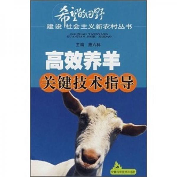 高效養(yǎng)羊關(guān)鍵技術(shù)指導(dǎo)