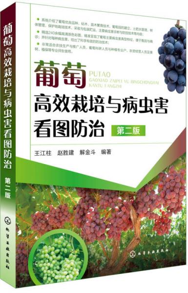 葡萄高效栽培與病蟲害看圖防治（第二版）