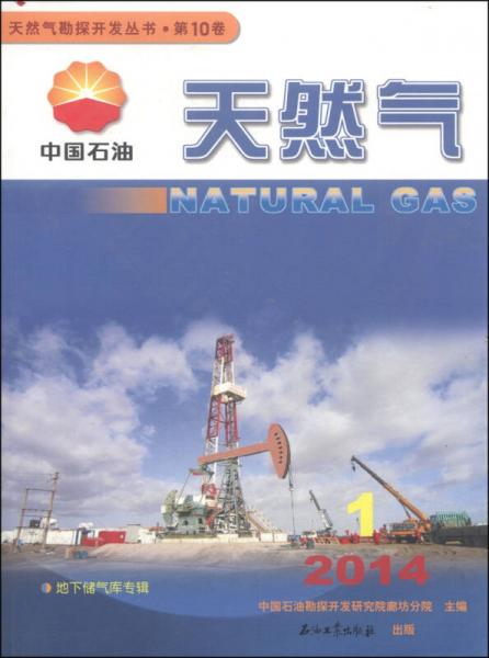 天然气勘探开发丛书