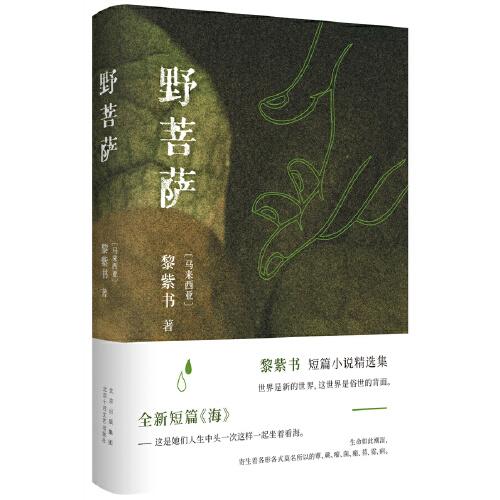 野菩薩（黎紫書短篇小說精選集，特別收入全新短篇《海》，王德威傾力推薦）