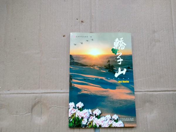 轎子山