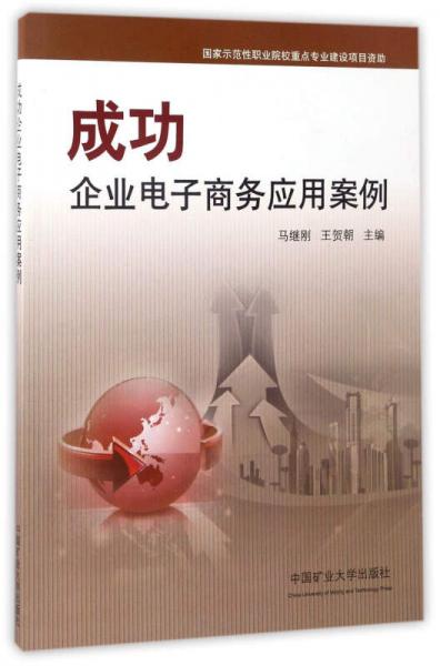 成功企業(yè)電子商務(wù)應(yīng)用案例