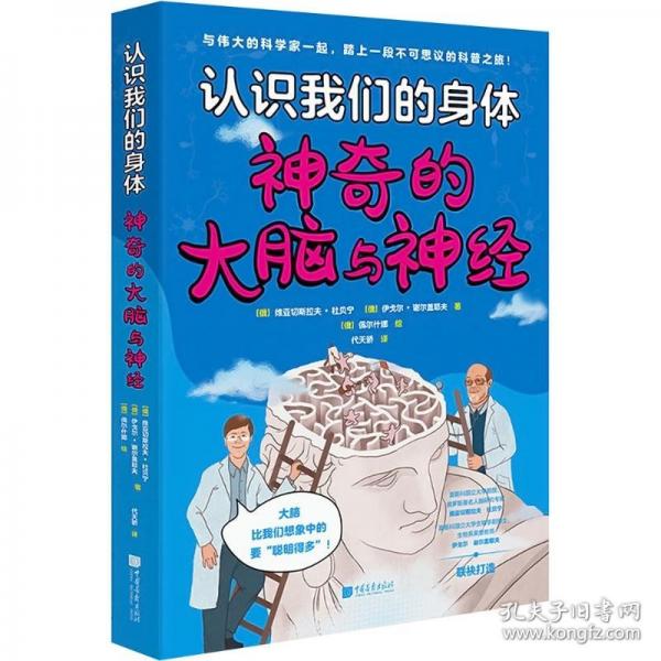 認(rèn)識我們的身體.神奇的大腦與神經(jīng)