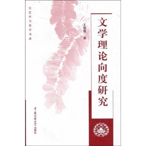 文學(xué)理論向度研究