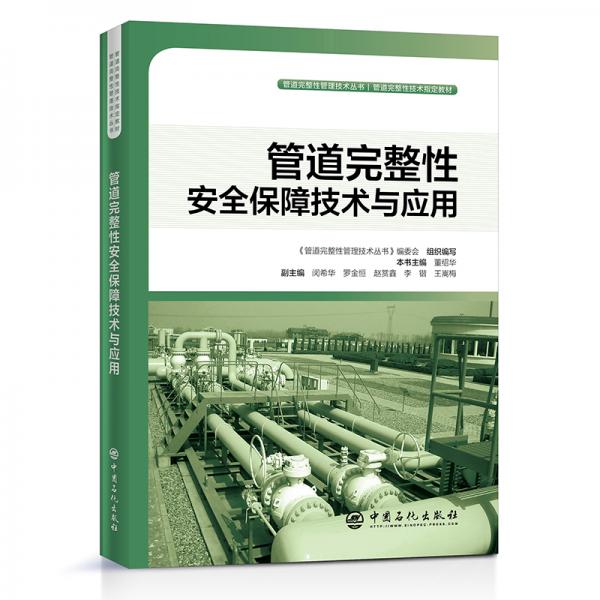 管道完整性安全保障技术与应用管道完整性管理技术丛书