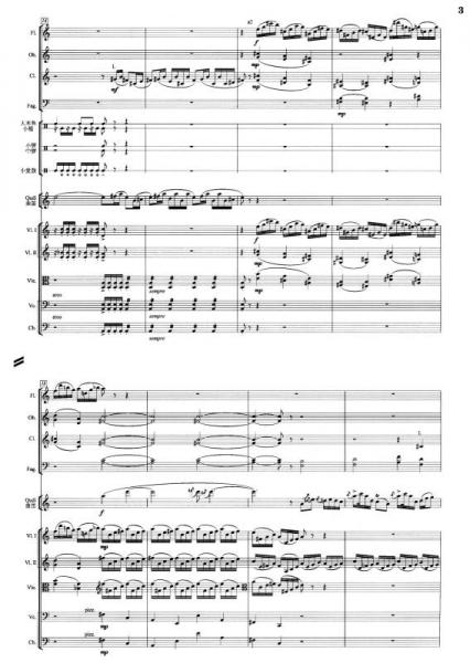 当代华人作曲家曲库·笛子协奏曲：巴楚行