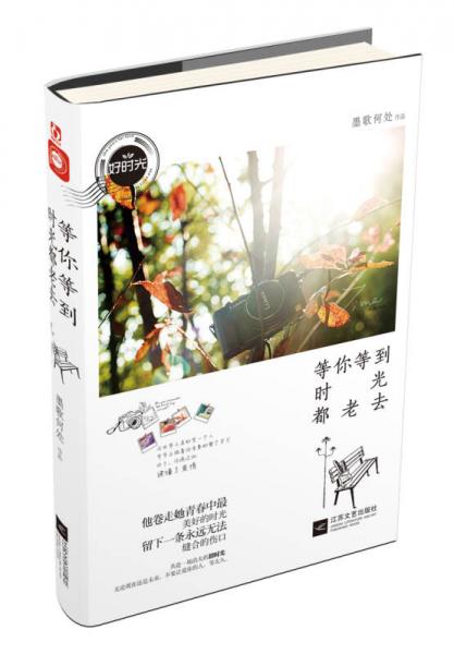 等你等到時光都老去