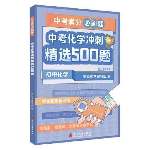 中考化學(xué)沖刺精選500題