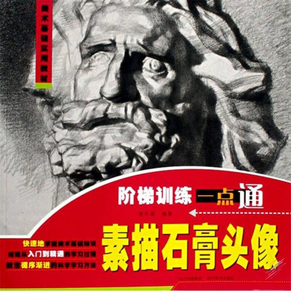 美術(shù)基礎(chǔ)實(shí)用教材·階梯訓(xùn)練一點(diǎn)通：素描石膏頭像