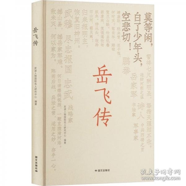 岳飛傳