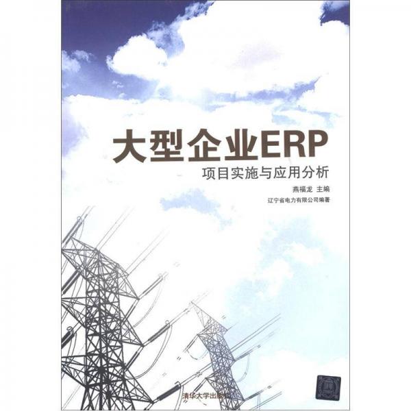 大型企業(yè)ERP項(xiàng)目實(shí)施與應(yīng)用分析