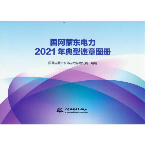 國網(wǎng)蒙東電力2021年典型違章圖冊