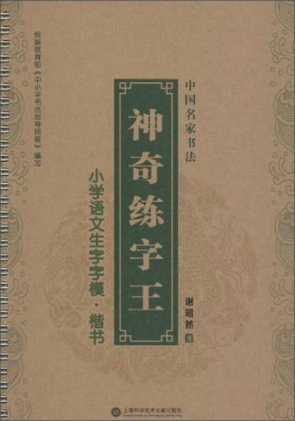 中国名家书法.神奇练字王 小学语文生字字模楷书