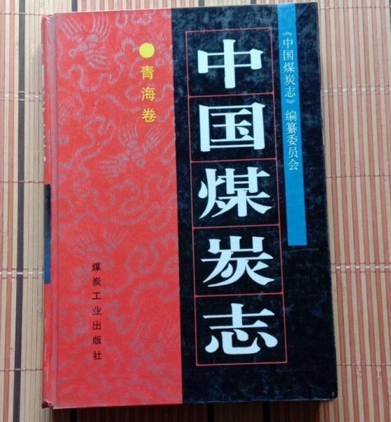 中國(guó)煤炭志.青海卷