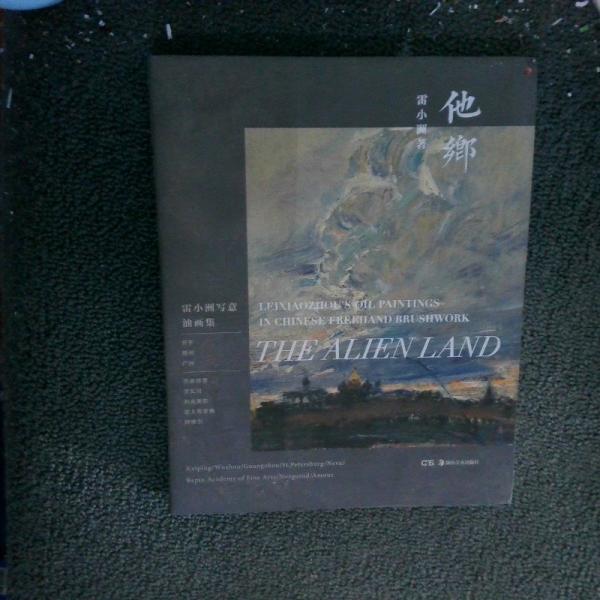 他鄉(xiāng) 雷小洲寫意油畫集