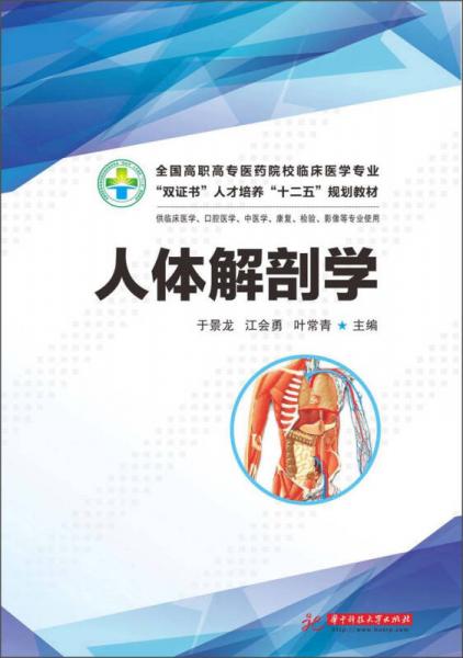 全国高职高专医药院校临床医学专业“双证书”人才培养“十二五”规划教材：人体解剖学