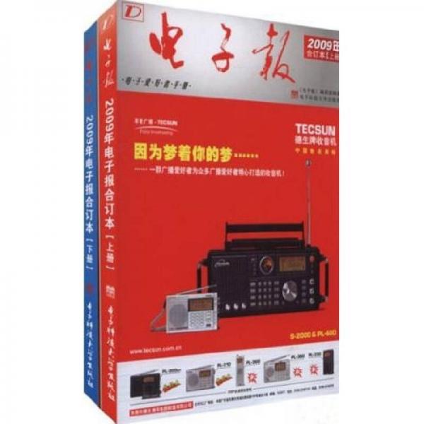 2009年電子報(bào)