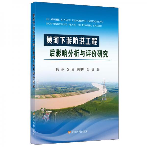 黄河下游防洪工程后影响分析与评价研究