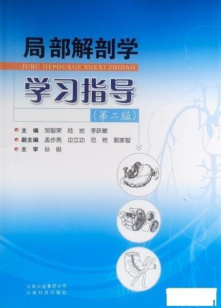 局部解剖學學習指導(dǎo)
