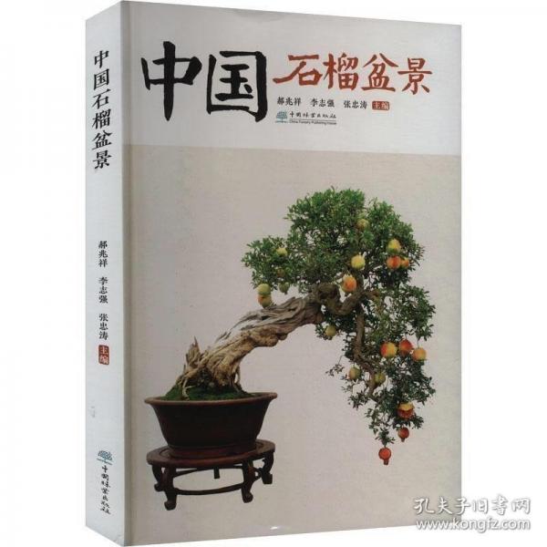 中國石榴盆景