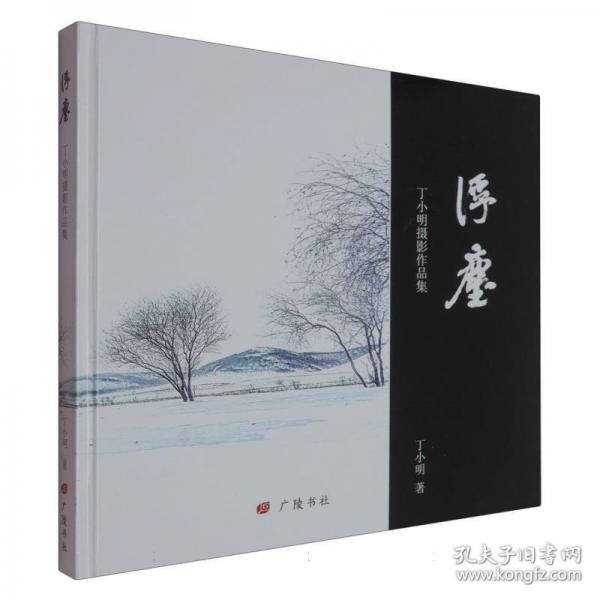 浮尘:丁小明摄影作品集