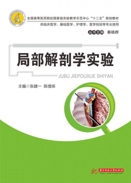 局部解剖學(xué)實(shí)驗(yàn)