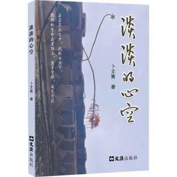 淡淡的心空