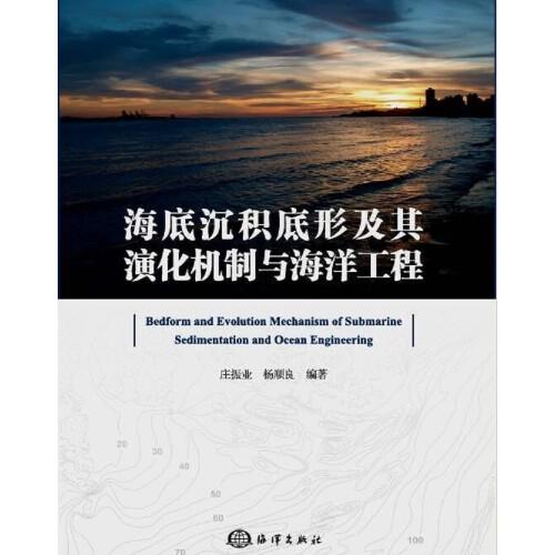 海底沉積底形及其演化機制與海洋工程