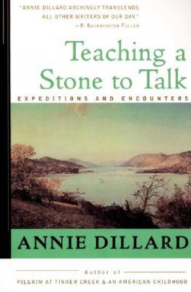 Teaching a Stone to Talk: Expeditions and Encounters