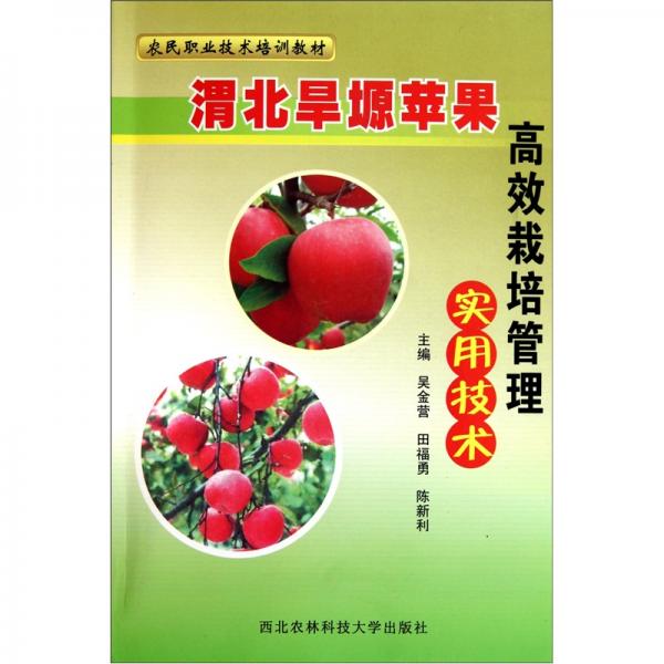 渭北旱塬蘋果高效栽培管理實用技術(shù)