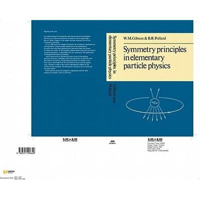 SymmetryPrinciplesParticlePhysics(CambridgeMonographsonPhysics)