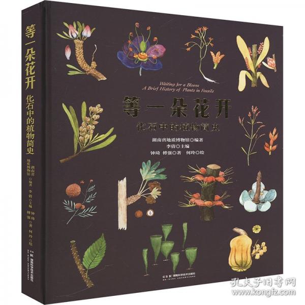 等一朵花開：化石中的植物簡(jiǎn)史